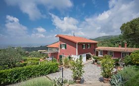 B&B Rosso Baccara